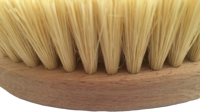 Vegetable Brush - Made from All Natural Bamboo and Palm Fibers - Scrub and Clean Carrots, Potatoes, Corn, Beets etc. (Single Pack) - Image 2
